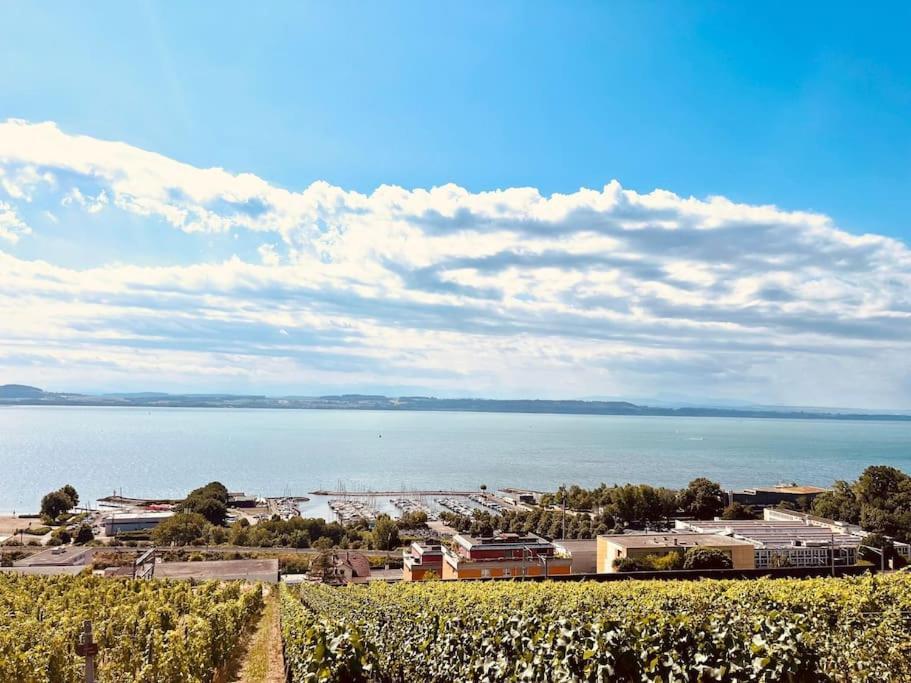 Charmant Appartement De Vacances Alta Ripa Hauterive (Neuchatel) Exterior foto