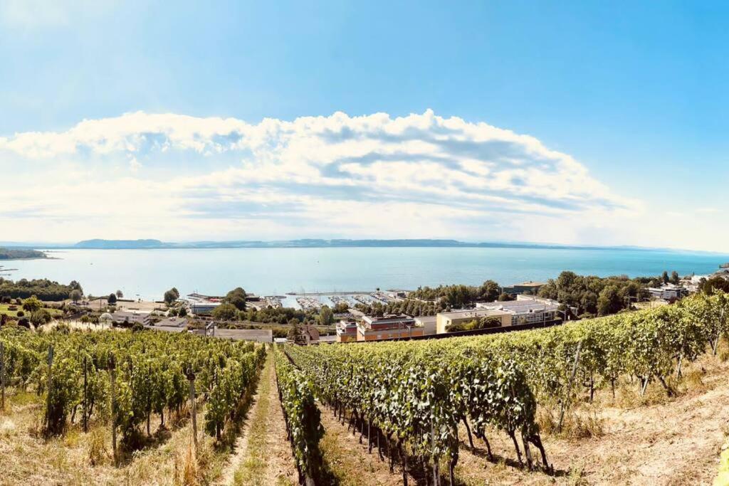 Charmant Appartement De Vacances Alta Ripa Hauterive (Neuchatel) Exterior foto