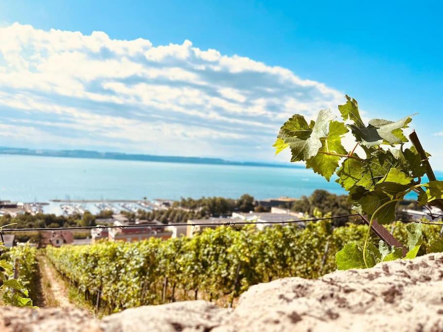 Charmant Appartement De Vacances Alta Ripa Hauterive (Neuchatel) Exterior foto